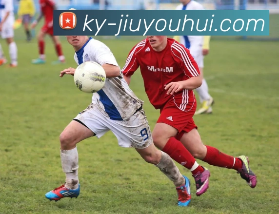 九游会官网平台生态图